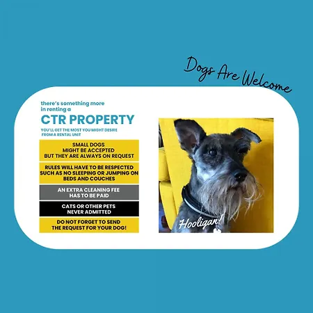 Tedea 2-bedroom 2-bathroom Exclusive 아파트 베르나차